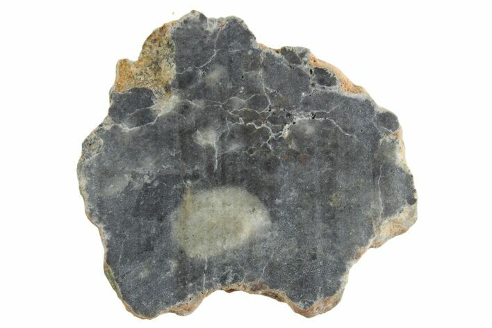 Lunar Meteorite ( g) Slice - Bechar #348184